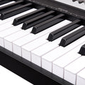 Karrera 88 Keys Electronic Keyboard Piano Black with Stand