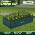 Wallaroo Garden Bed 120x60x30cm Galvanized Steel Green