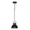 Sarantino Black Gold Pendant Light Fixture