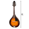 Karrera Mandolin Sunburst Traditional Acoustic Music Instrument