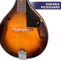 Karrera Mandolin Sunburst Traditional Acoustic Music Instrument