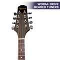 Karrera Mandolin Sunburst Traditional Acoustic Music Instrument