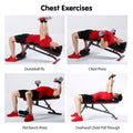 Powertrain FID Weight Bench Flat Incline Decline 250kg Home Gym