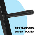 Powertrain Weight Plates Storage Rack Home Gym