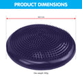 Powertrain Yoga Stability Disc Pump Purple Balance Trainer Pilates