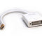 OXHORN AD-DPM-DVI Mini DP to DVI Adapter