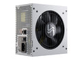 SEASONIC FOCUS GX (ONESEASONIC) WHITE EDITION GX-750 (SSR-750FX WHITE)  750W 80 PLUS GOLD PSU