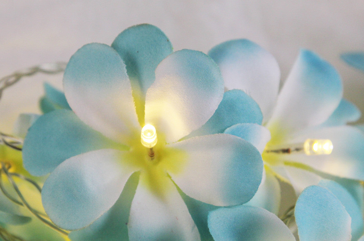 1 Set of 50 LED Tropical Blue Frangipani Flower Battery 5m LONG String Lights Christmas Gift Home Wedding Beach Party Decoration Outdoor Table Centrepiece