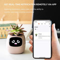 Intelligent Flower Pot, Electronic Bud, Maintenance Plant Assistant, Fun Interactive Flower Pot, Indoor Green Planting Monitoring, LCD Screen Display, Cell Phone APP Connection (White)