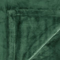 In 2 Linen 350GSM Plush Ultra Soft Velvet Touch Blanket Forest Double/Queen