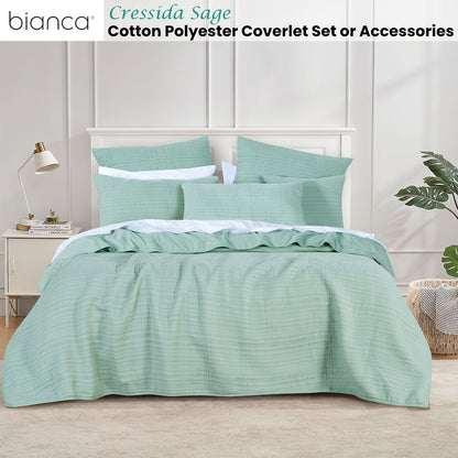 Bianca Cressida Sage Cotton Polyester Coverlet Set Queen/King