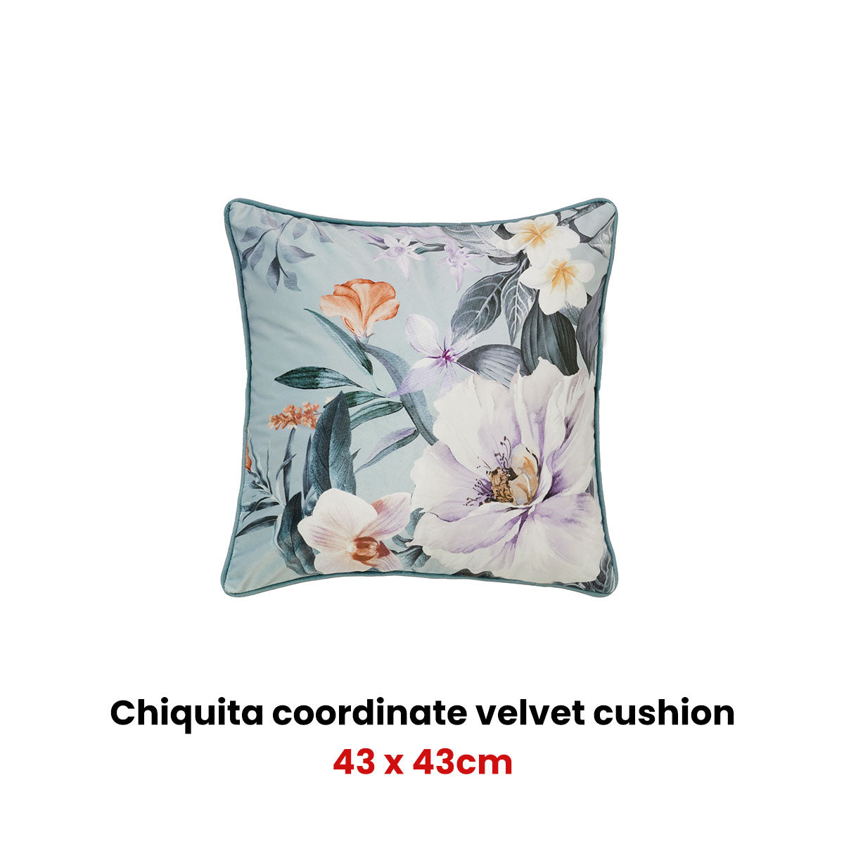 Bianca Chiquita Square Filled Cushion 43 x 43cm