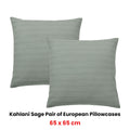 Bianca Pair of Kahlani Sage European Pillowcases 65 x 65cm