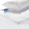 TERRY Mattress Protector  - SINGLE
