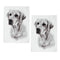 Dogs Cotton Kitchen Tea Towels 50x70cm Labrador Set of 2
