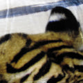 800GSM Luxury Reversible Animal Pattern Mink Blanket QUEEN 200 x 240 cm Three Tigers Blue