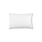 Luxor Twin Pack Cushion Inserts 35x60cm Memory Foam Filled