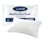 Luxor Hotel Quality Pillow Standard Size Single Pack
