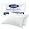 Luxor Hotel Quality Pillow Standard Twin Pack Australian Made
