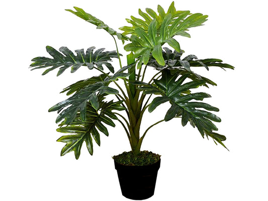 Artificial Janet Craig Dracaena in Pot 70cm