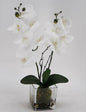 Artificial Orchid in Glass Pot 10x45cm