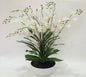 Artificial Orchid in White Pot 50cm