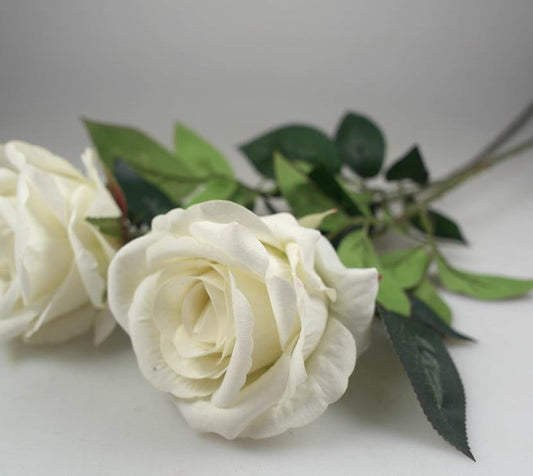 bulk 24 Articial Single Stem Rose White 62cm