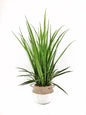 Artificial Grass in Cement Pot 76cm
