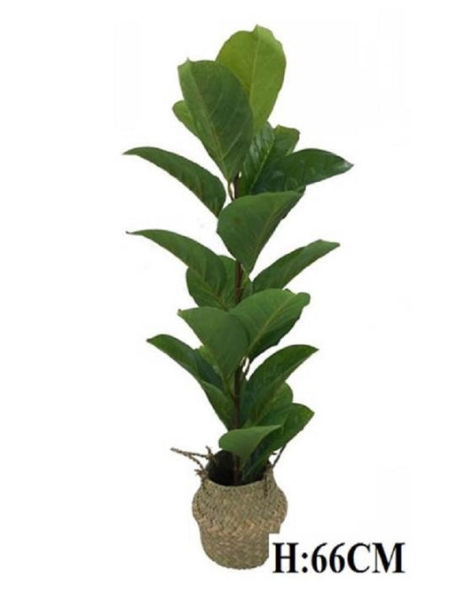 Artificial Decorative Plant in Basket Tree 66cm