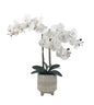 Artificial Orchid in Ceramic Pot 58cm