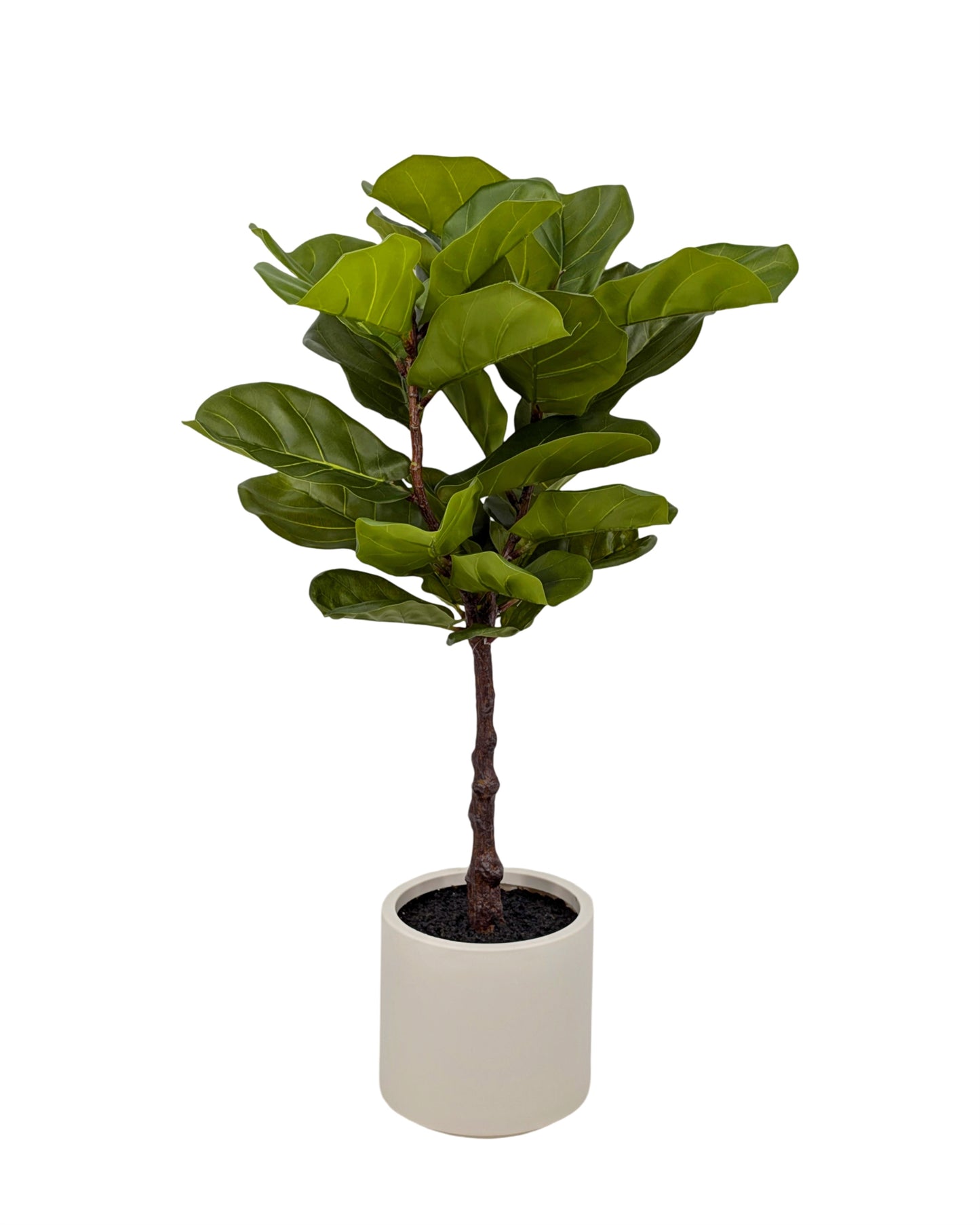 Artificial Real Touch Fiddleleaf Tree 100cm