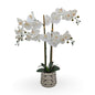 Artificial Orchids in Chrome Pot 71cm