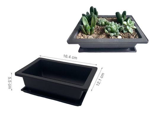 bulk 24 Bonsai Succulent Planter w Tray 16cm
