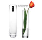bulk 12 Glass Cylinder Vase Flower 25cm