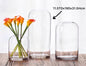 bulk 6 Glass Modern Bud Vase Flower 31cm