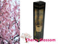 bulk 24 Scented Oil Diffuser Cherry Blossom 50ml 8 Ratten Sticks