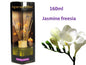 bulk 12 Fragrant Oil Diffuser Jasmine Freesia 160ml 12 Rattan Sticks