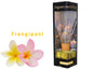 bulk 12 Fragrant Oil Diffuser Frangipani 160ml 12 Rattan Sticks