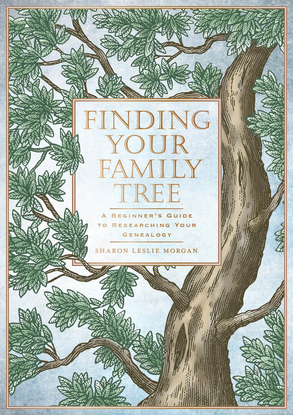 Finding Your Family Tree: A Beginner's Guide t