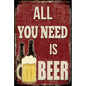 All You Need Is Beer Wall Art 20x30cm