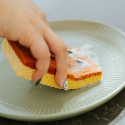 Clevinger 2Pcs Cellulose Cleaning Sponges