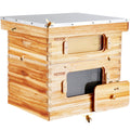 Bee Hive Starter Kit 20 Frame Cedar Wood Langstroth Beekeeping Box