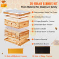 Bee Hive Starter Kit 20 Frame Cedar Wood Langstroth Beekeeping Box