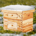 Bee Hive Starter Kit 20 Frame Cedar Wood Langstroth Beekeeping Box
