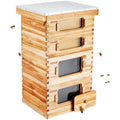 Bee Hive 40 Frame Langstroth Kit 2 Deep 2 Medium Cedar Wood Beeswax