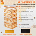 Bee Hive 40 Frame Langstroth Kit 2 Deep 2 Medium Cedar Wood Beeswax