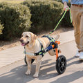 Dog Wheelchair Back Legs 2 Wheels Adjustable 15.8-21.7kg Medium