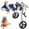 Dog Wheelchair Back Legs M Lightweight Adjustable Disabled Paralysis