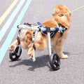 Dog Wheelchair Back Legs M Lightweight Adjustable Disabled Paralysis