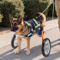 Dog Wheelchair Back Legs Adjustable 21.7-39.9kg Large